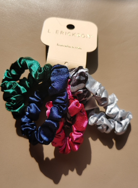 美国代购进口L.Erickson弹力手工发圈发绳头绳5根套装新款限量版