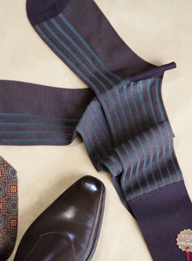 il-regalo 全新鸟眼花纹条纹男士商务袜 长筒袜