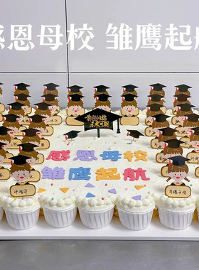 网红毕业季可写字蛋糕装饰插件白云白色方形可手写名字插卡插牌