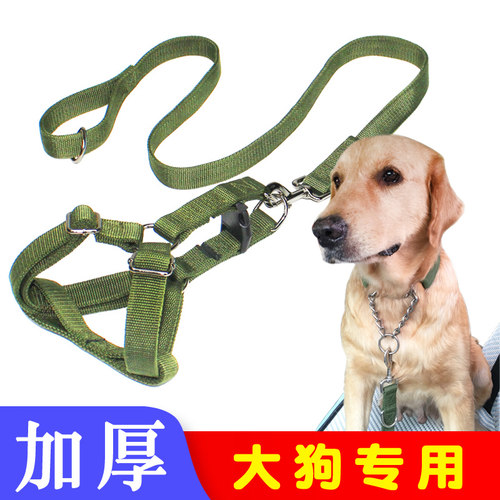 专用项圈背心式p链中大型犬狗链