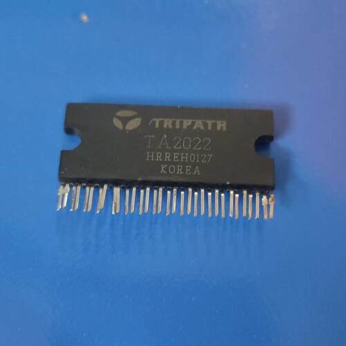 TA2022TA2022TA2022
