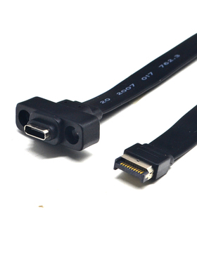 USB3.2挡板线19PIN/TYPE-E转type-C前置C母PCI位10G/20Gbps短扁线