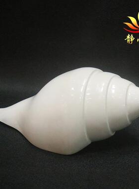 大号白色左旋右旋大尺寸白色海螺