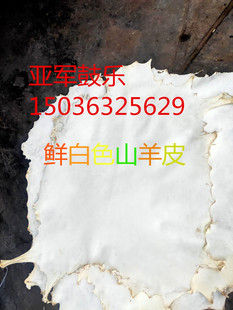 厂家直销包邮山羊皮优质山羊皮非洲鼓皮羊皮鼓面山羊皮鼓面