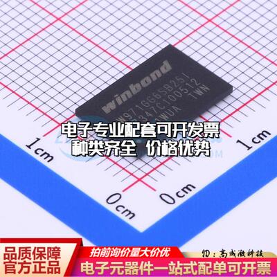 全新正品W971GG6SB25I WBGA-84(8x12.5) DDR SDRAM质量保证