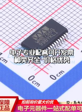 全新正品WM8766GEDS/RV SSOP-28-208mil 数模转换芯片DAC质量保证