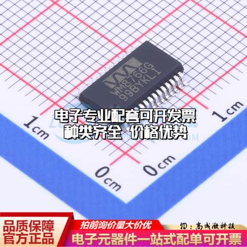 全新正品WM8766GEDS/RV SSOP-28-208mil 数模转换芯片DAC质量保证