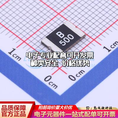 自恢复保险丝BSMD2920-500-16V 2920 可开票全新