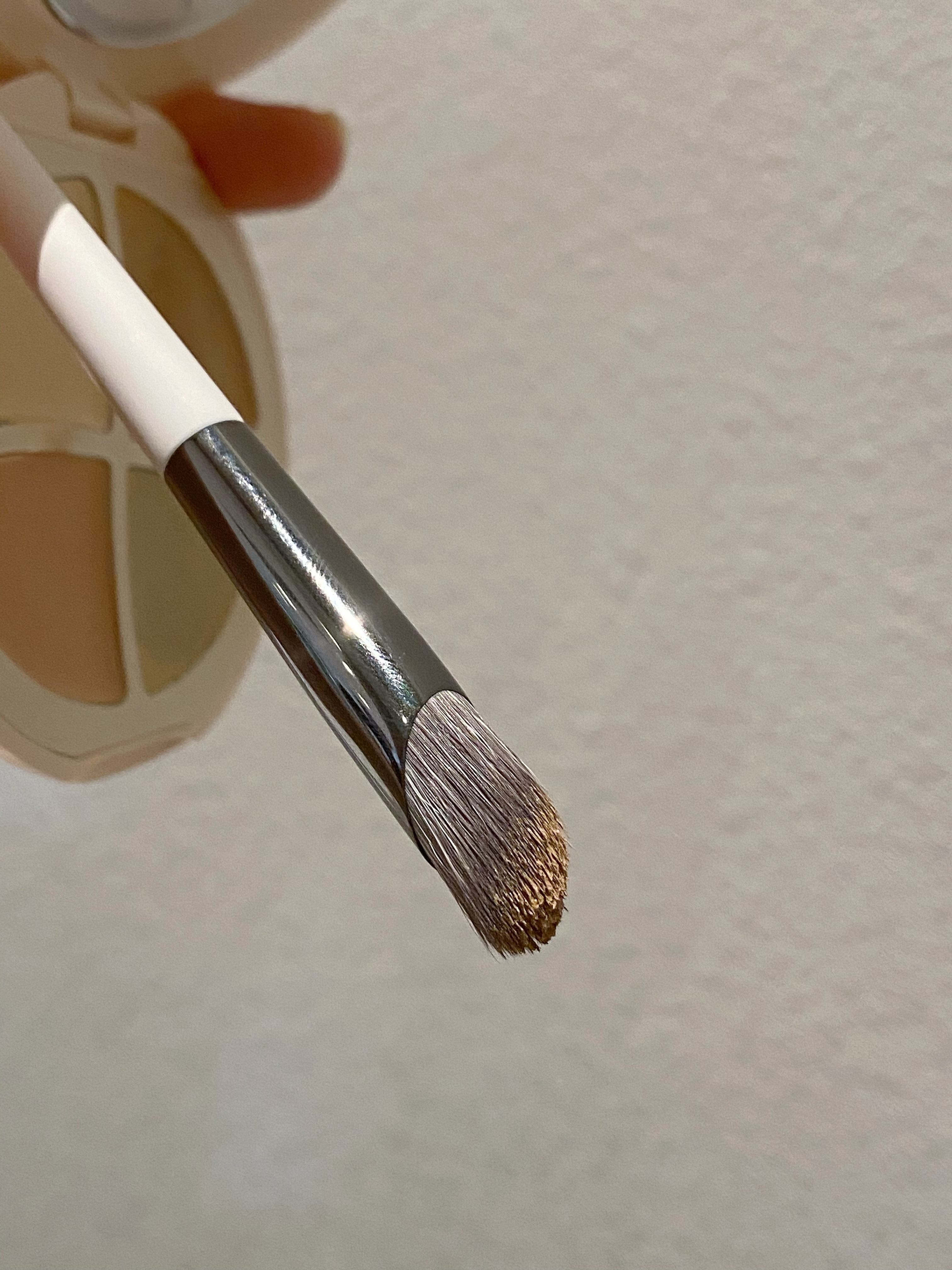 拇指遮瑕高品质刷毛柔软FREEPONY