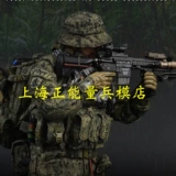 Soldierstory 1: 6 Соотношение SS136 Американская Seal Gold Team Reconnaissance Player GA2 Получение заказов