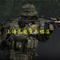 Soldierstory 1: 6 Соотношение SS136 Американская Seal Gold Team Reconnaissance Player GA2 Получение заказов