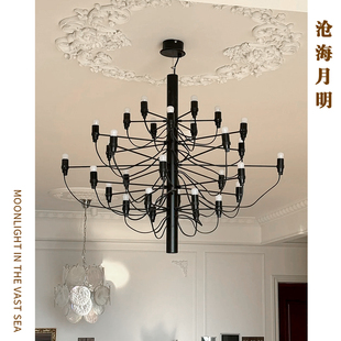 果实客厅吊灯北欧LOFT轻奢餐厅酒店别墅多头吊灯 意大利2097盛夏