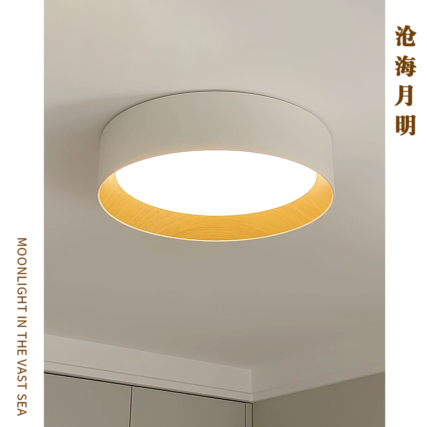 北欧设计师Duo客厅LED吸顶灯圆形
