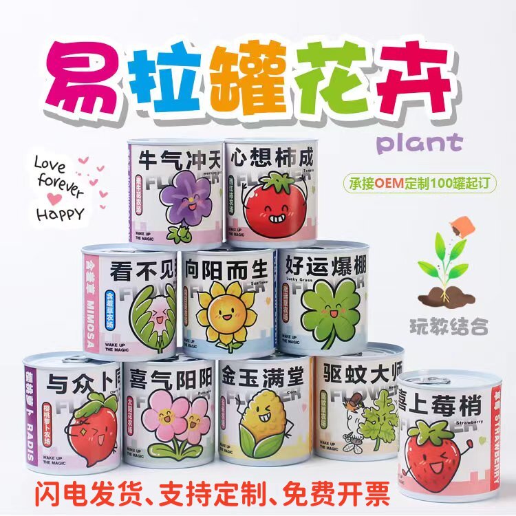 易拉罐花卉植物创意种植儿童桌面趣味小盆栽学生儿童礼可定制LOGO