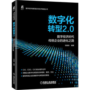成熟度模型 变革 刘继承 数字化转型2.0 企业策略9787111692676 进化之路 创新 互联网 数字经济时代传统企业