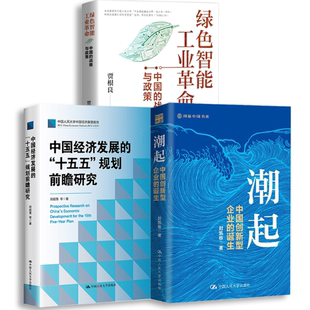 人大社自营 迈向十五五前瞻研究3本套装系列 潮起/绿色智能工业革命/中国经济发展的十五五规划前瞻研究 /中国人民大学出版社
