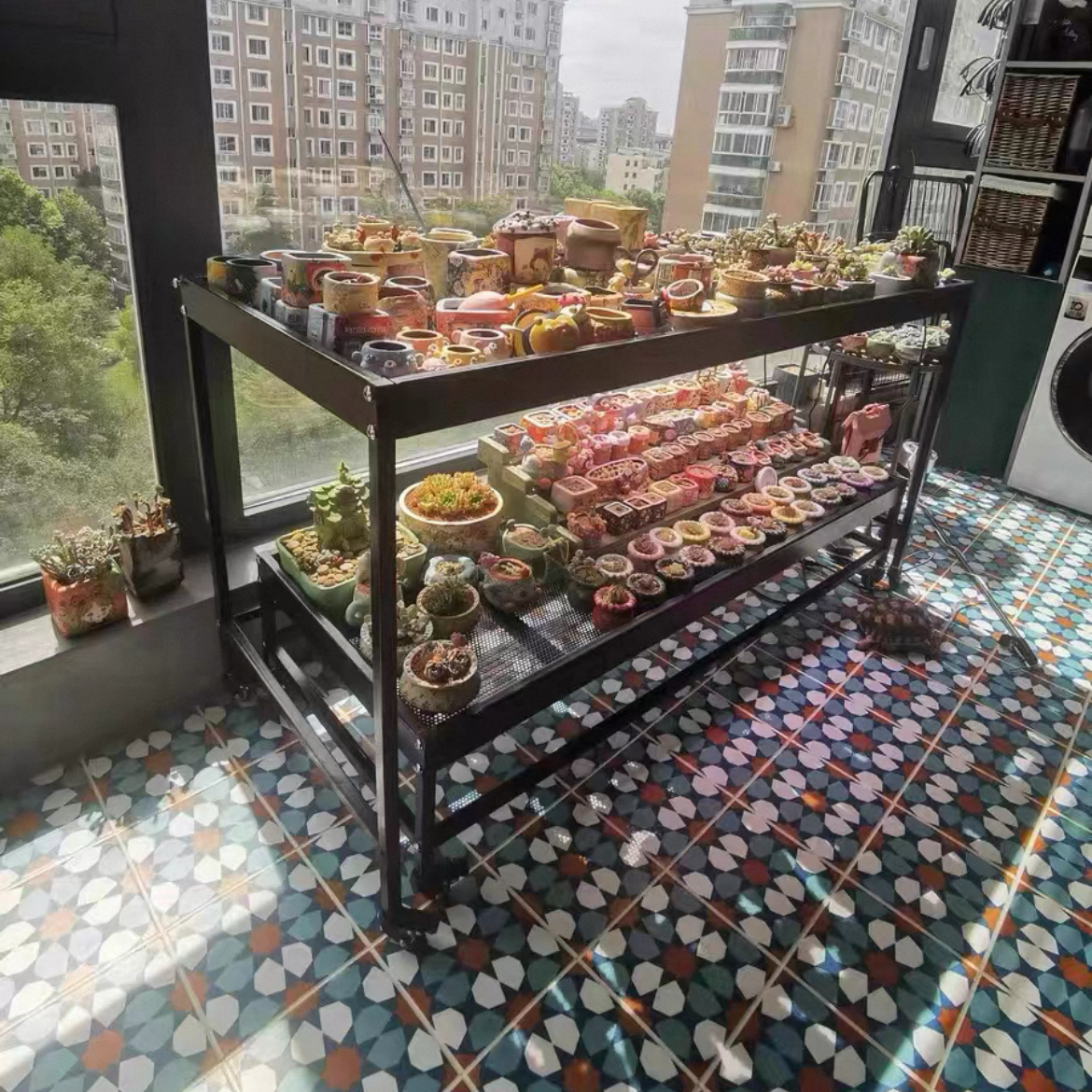 多层知三月户外多肉花架