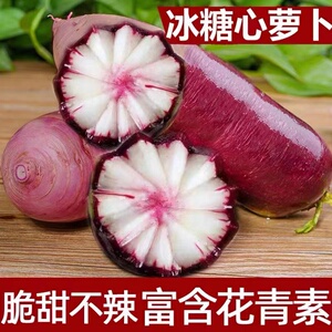 新鲜冰激凌萝卜脆甜不辣冰糖心萝卜现挖5斤包邮潍坊青萝卜沙窝即