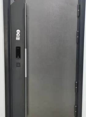 轻奢甲级嵌入式指纹锁家用防盗门