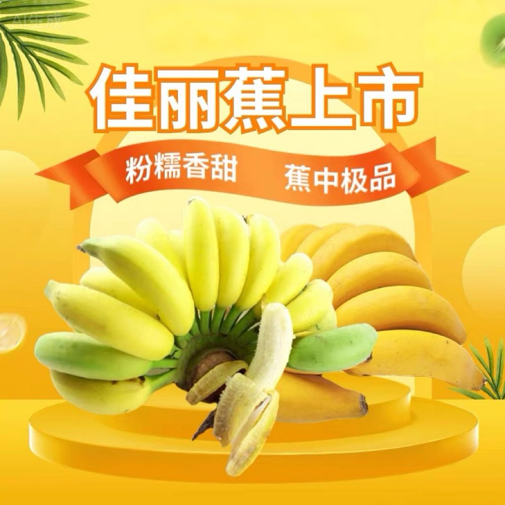 新鲜现摘正宗佳丽蕉黄香蕉当季水果粉糯香甜孕妇小孩老人小孩都可