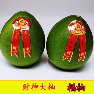 非食用精选黄皮青皮财神柚梅州三红肉蜜柚沙田柚摆景柚福柚子