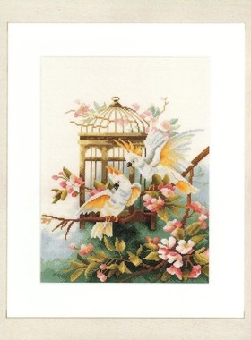 Lanarte 35033 凤头鹦鹉 十字绣saga格式XSD重绘电子图纸源文件