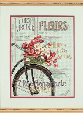 Dim35195 巴黎单车 十字绣 saga格式XSD重绘源文件电子图纸