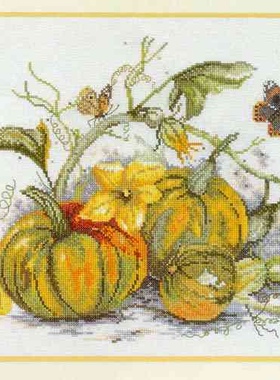 Lanarte 34396 南瓜 十字绣saga格式XSD重绘电子图纸源文件