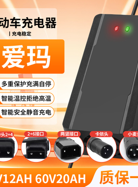 适用于爱玛电动车锂电池2+6专用充电器48V2A卡农头小麦头视频头快