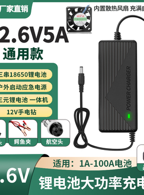 12.6V5A8A10A锂电池充电器12V电瓶一体机60A聚合物40A80A带风扇A