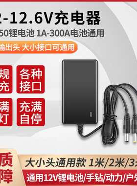 12V锂电池充电器12.6V1A2A6A10A移动电源动力按摩器手电钻充电器