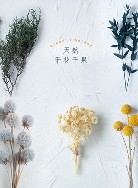 森系节日手工DIY滴胶天然干花装饰真花永生花满天星松叶尤加利