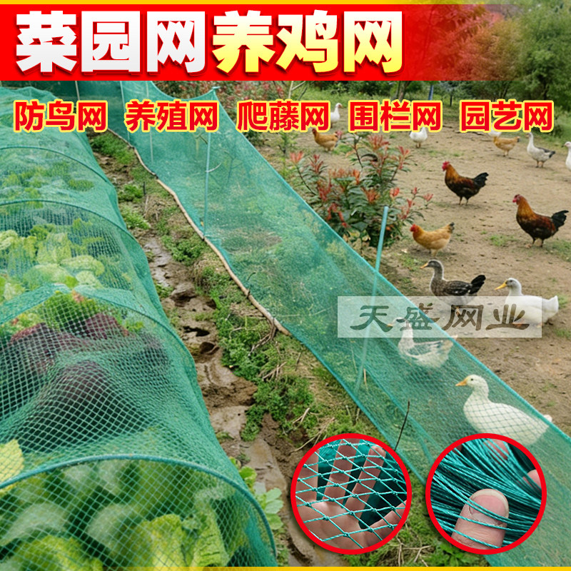 【养鸡网】围网保护网包邮