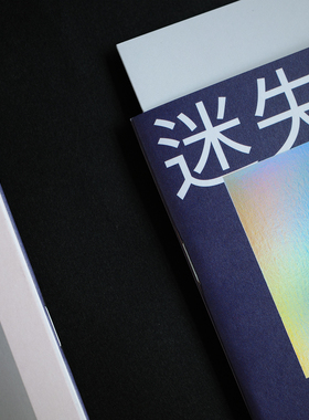 山浮士多原创文创zine  複調系列01 车灯前一米&迷失自我的变色龙