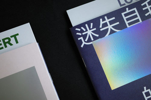 山浮士多原创文创zine  複調系列01 车灯前一米&迷失自我的变色龙