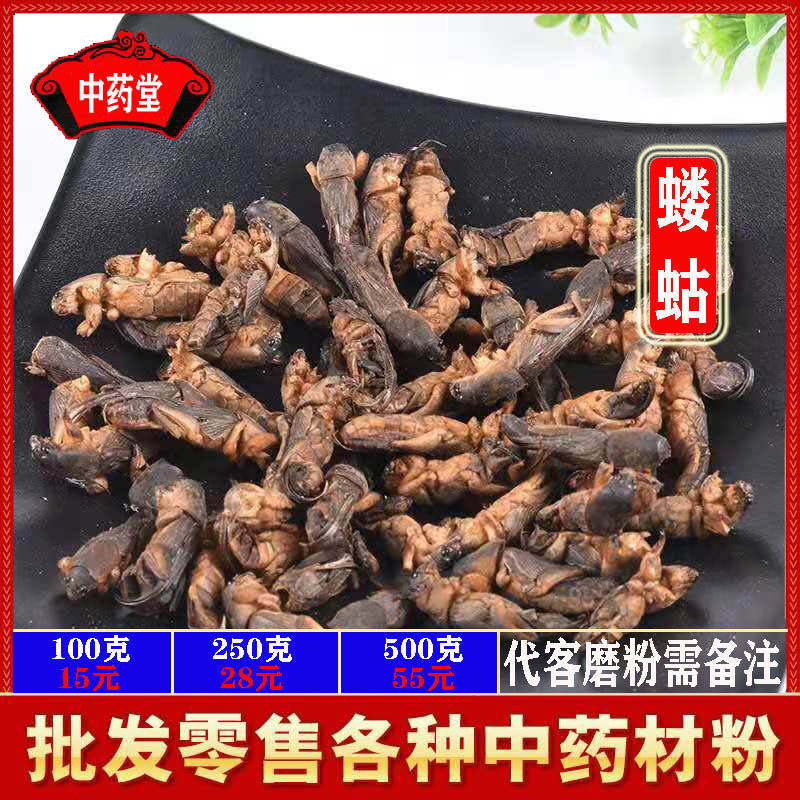 蝼蛄500克包邮野生蝼蛄干