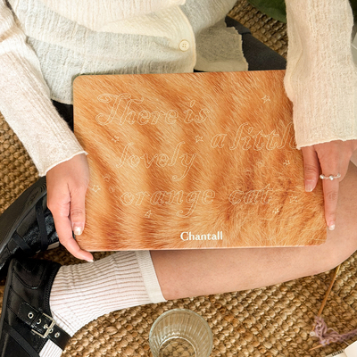 橘猫苹果MacBook13.6寸air保护壳