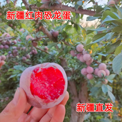 新疆恐龙蛋红肉李子红布林李子