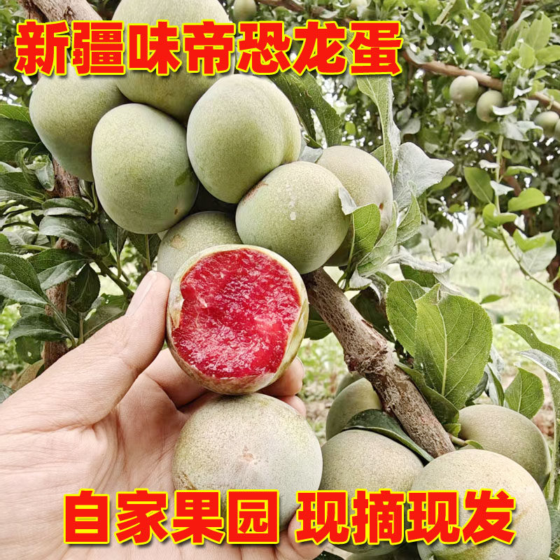 新疆恐龙蛋 李子红肉杏李红布林李子当季新鲜水果香甜多汁3斤包邮