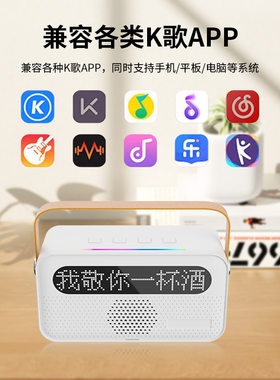 爆款K歌音响Y8便携无线蓝牙带话筒歌词显示儿童麦克风长续航便携