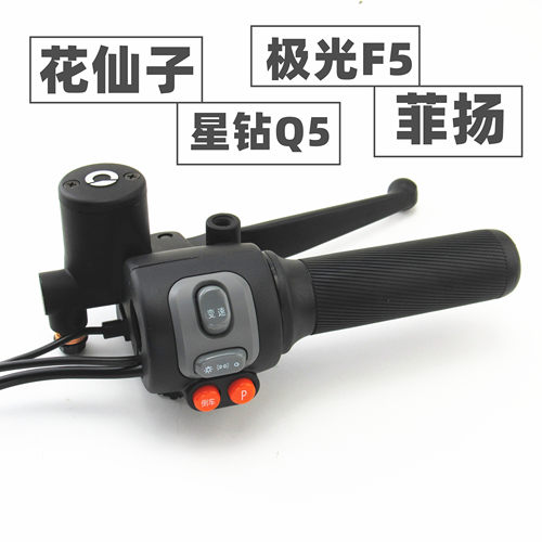 适用新日电动车星钻Q5菲扬花仙子极光F5左右开关油门转把刹车上泵