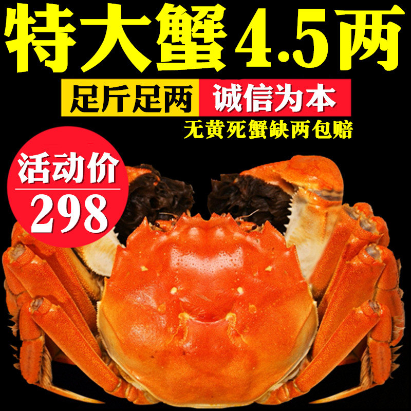 【去绳裸重】8只现货阳澄湖镇大闸蟹鲜活特大螃蟹公4.5母3两礼盒在类目 水产肉类/新鲜蔬果/熟食, 海鲜/水产品/制品, 蟹类, 大闸蟹中 - 来自Buy2taobao.com提供专业的淘宝代购服务