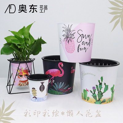 彩绘花盆塑料懒人花盆自动吸水可视水位绿萝蝴蝶兰创意盆厂家