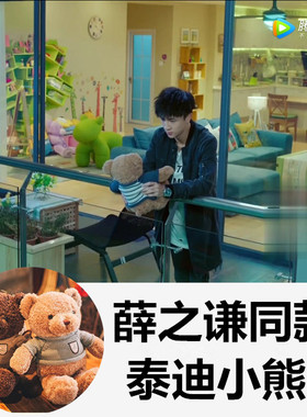 我们的少年时代薛之谦陶西同款泰迪小熊抱抱熊公仔抱枕毛绒玩具