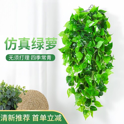 仿真绿萝客厅挂墙绿植壁挂装饰