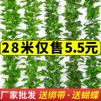 仿真绿萝叶藤条植物管道吊顶塑料