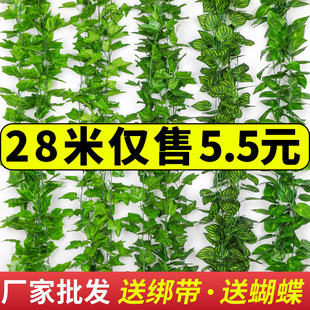 仿真藤条绿萝装 饰假树叶绿藤滕蔓塑料花藤水管道遮挡空调管绿叶花