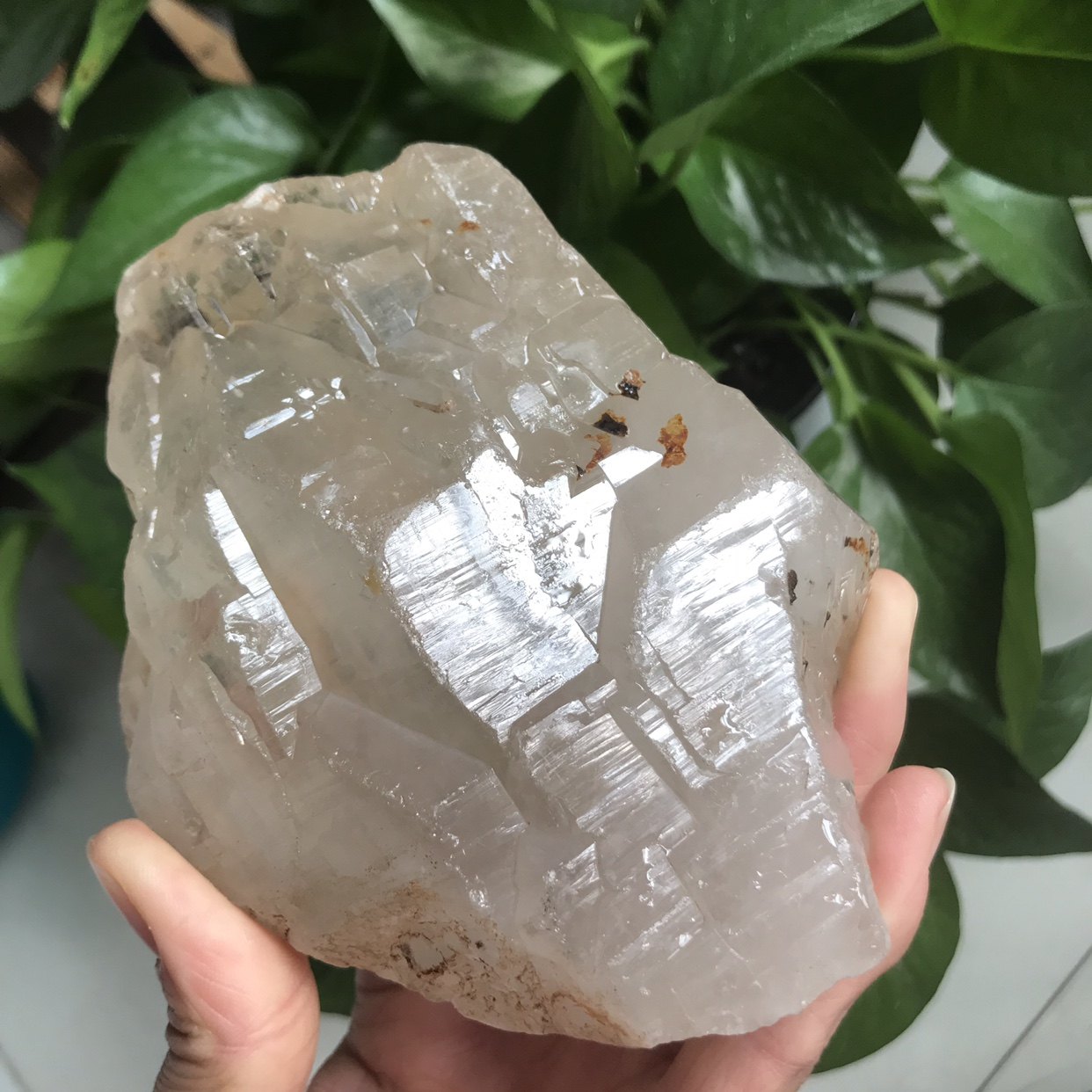 마다가스카르 천연 화이트 크리스탈 거친 돌 장식품 밝은 피부 백본 크리스탈 홈 장식