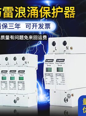 浪涌保护器2p光伏并网防雷家用配电20KA40KA避雷器电涌防雷保护器