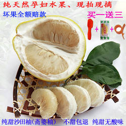 南康甜柚新鲜孕妇水果斋婆柚晚熟柚江西赣南地理特产沙田柚子